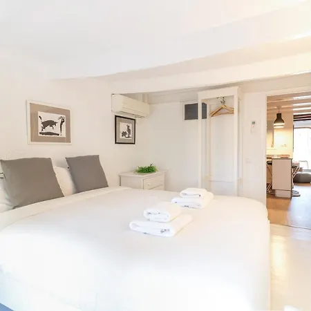 Precioso Apartamento En Mercat Sant Antoni Barcelona
